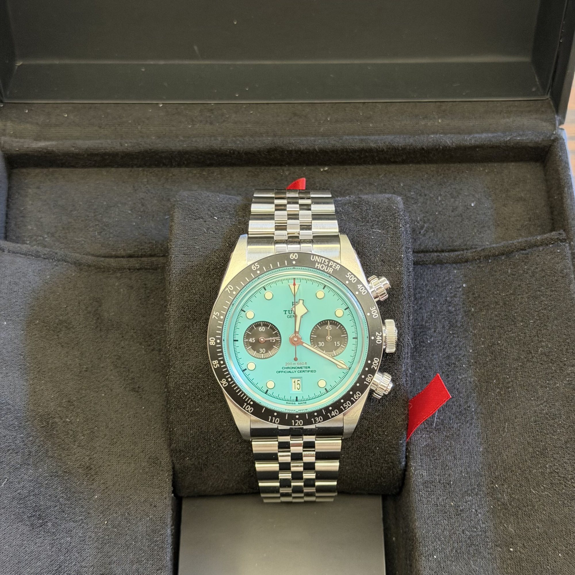 Tudor Chrono Flamingo
